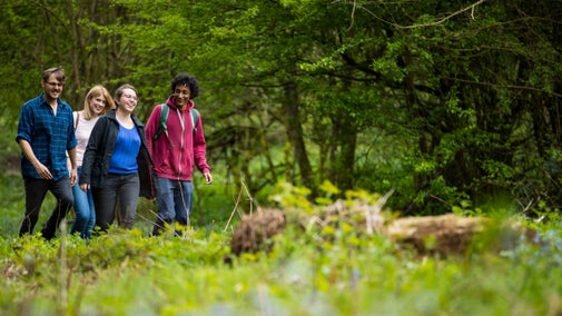 A group of four adults walking on a path through woods